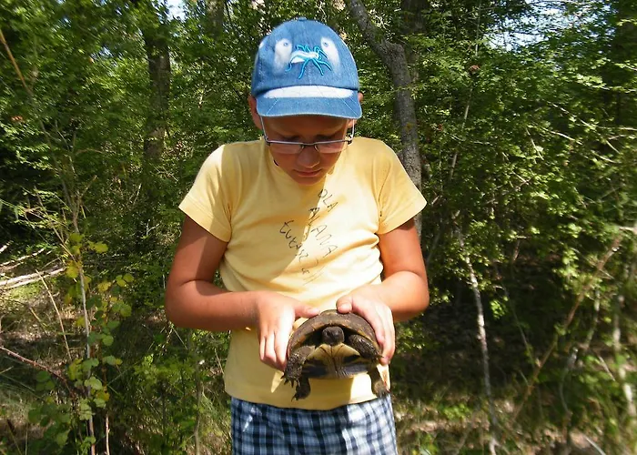 Aquarius Aparthotel Velipojë
