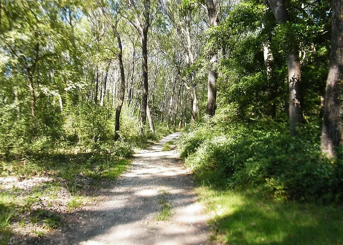 Aquarius Aparthotel Velipojë