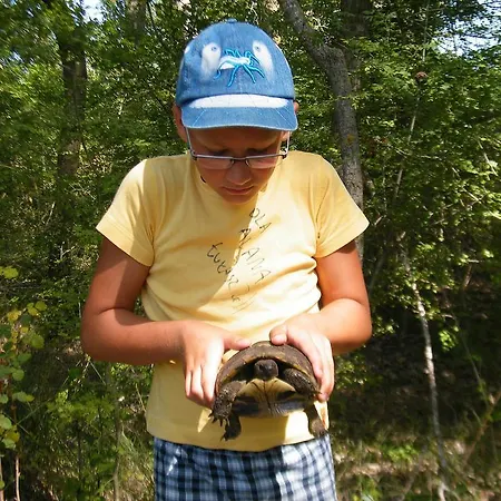 Aquarius Aparthotel Velipojë