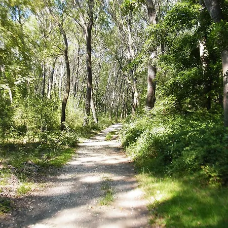 Aquarius Aparthotel Velipojë